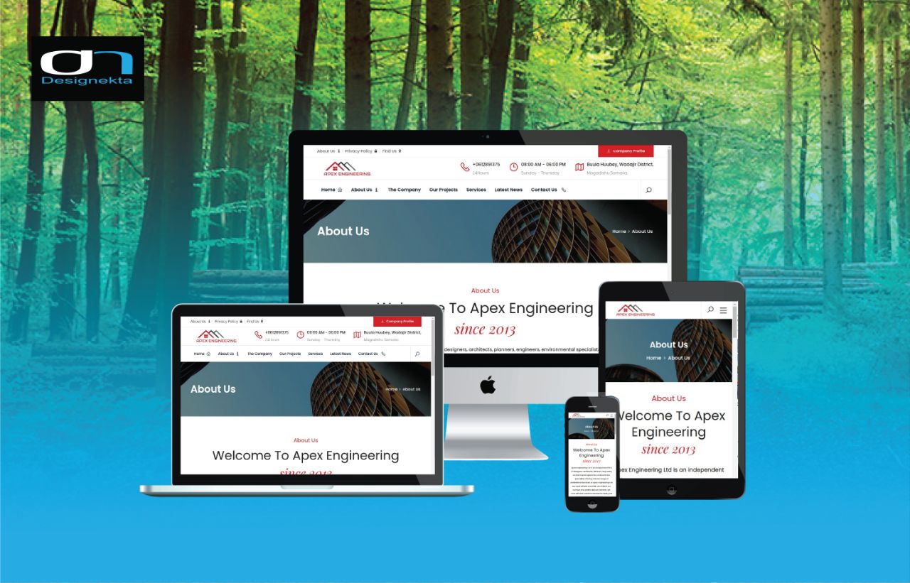 Apex Engineering — Designekta Studios portfolio