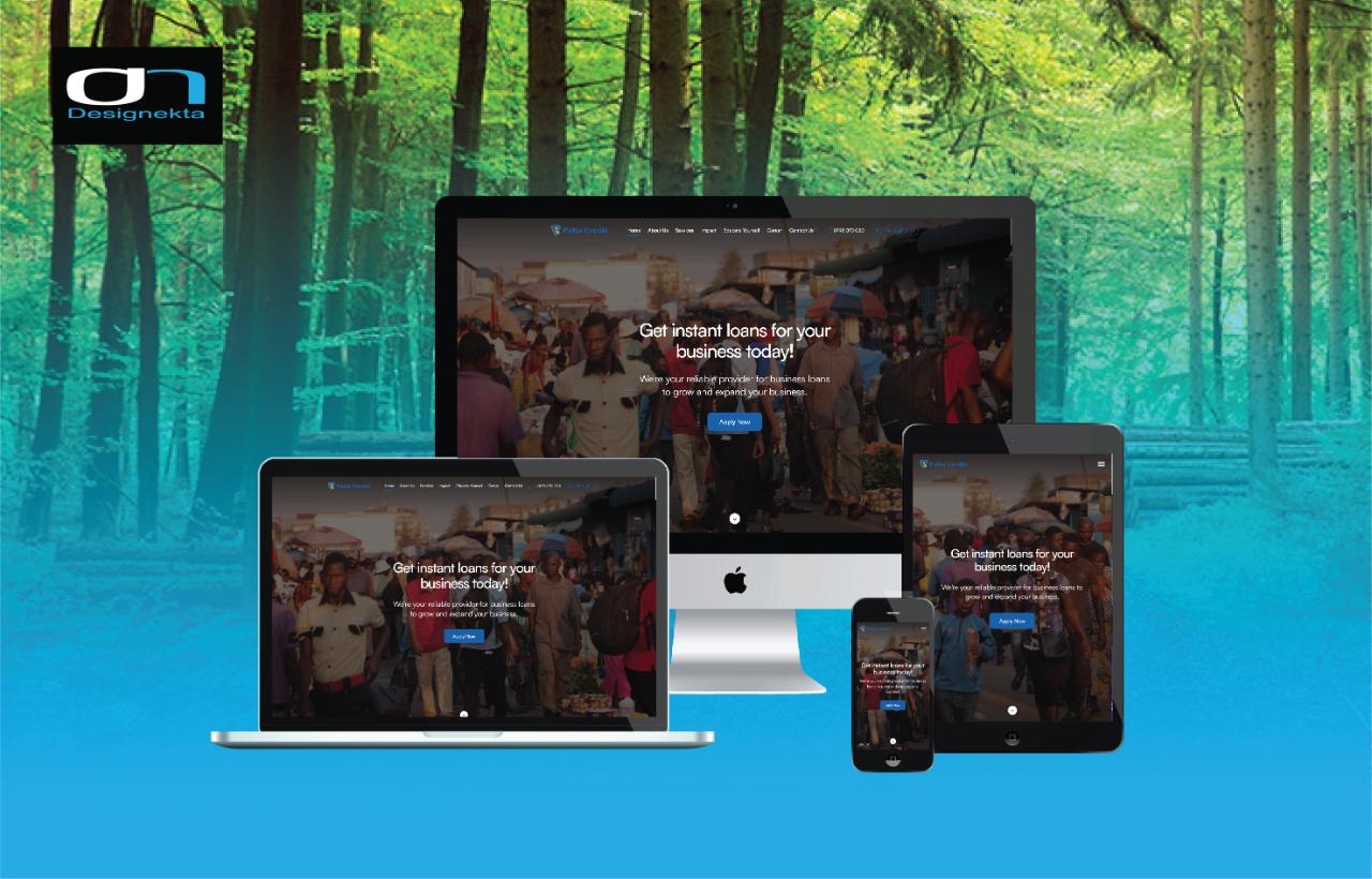 Palla Credit Website